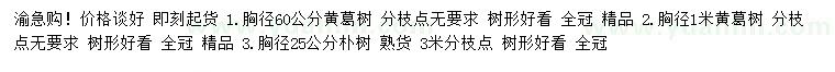 求購(gòu)胸徑60公分黃葛樹