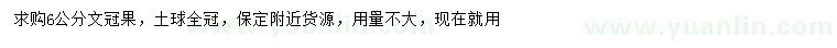 求購(gòu)6公分文冠果