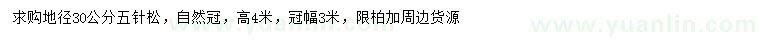 求購地徑30公分五針松