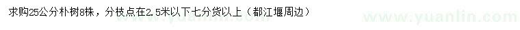 求購25公分樸樹