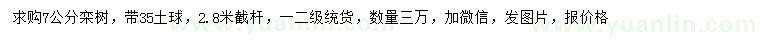 求購7公分欒樹
