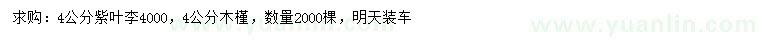 求購4公分紫葉李、木槿