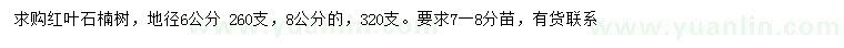 求購6、8公分紅葉石楠