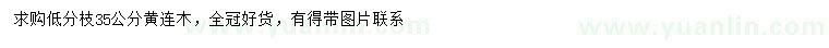求購35公分黃連木