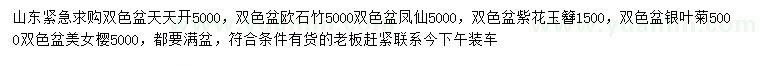 求購天天開、歐石竹、鳳仙等