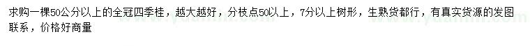 求購50公分以上四季桂