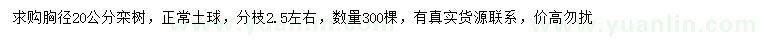 求購(gòu)胸徑20公分欒樹(shù)