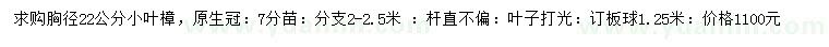 求購胸徑22公分小葉樟