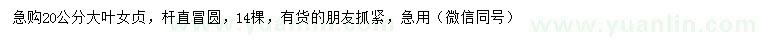 求購20公分大葉女貞