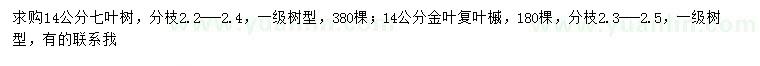 求購(gòu)14公分七葉樹(shù)、金葉復(fù)葉槭