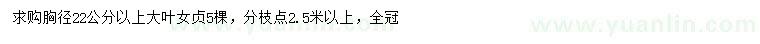 求購胸徑22公分以上大葉女貞