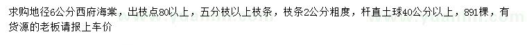 求購地徑6公分西府海棠