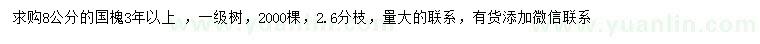 求購(gòu)8公分國(guó)槐