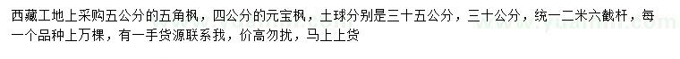 求購(gòu)5公分五角楓、4公分元寶楓