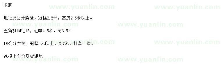 求購紫薇、五角楓、欒樹