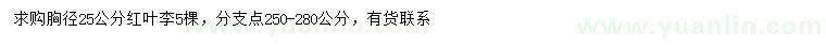 求購(gòu)胸徑25公分紅葉李