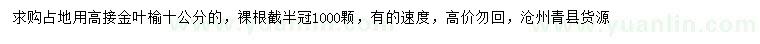 求購10公分高接金葉榆
