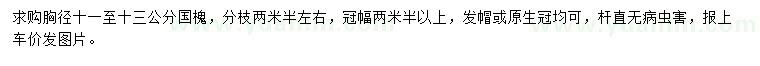 求購(gòu)胸徑11-13公分國(guó)槐