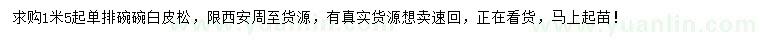 求購1.5米以上白皮松