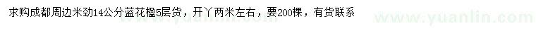 求購(gòu)米徑14公分藍(lán)花楹