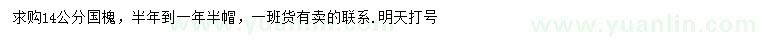 求購14公分國槐