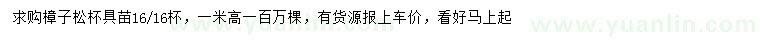 求購(gòu)高1米樟子松