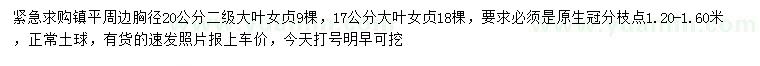 求購(gòu)胸徑17、20公分大葉女貞