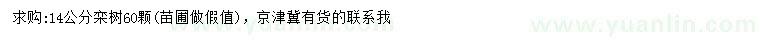 求購14公分欒樹