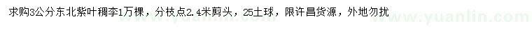 求購3公分紫葉稠李