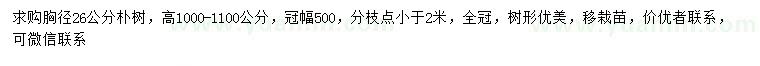 求購胸徑26公分樸樹