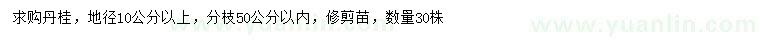 求購地徑10公分以上丹桂
