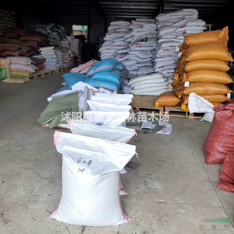 草花草籽供应 观赏野花种子 混色草花种子播种方法