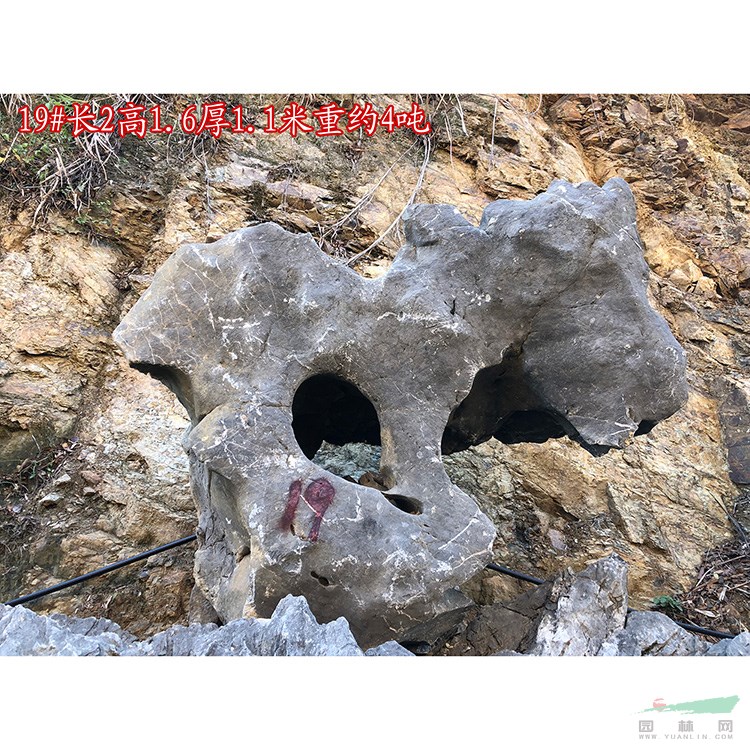產(chǎn)地直銷優(yōu)質(zhì)大型太湖石點石窟窿石草坪點綴石 19#