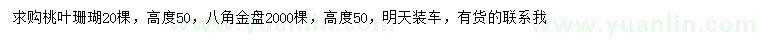 求購高50公分桃葉珊瑚、八角金盤