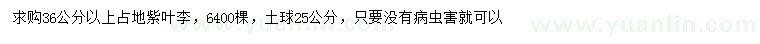 求購(gòu)36公分以上紫葉李
