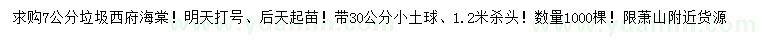 求購(gòu)7公分西府海棠