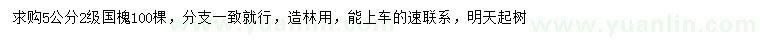 求購(gòu)5公分國(guó)槐