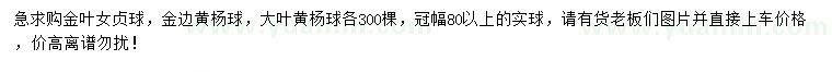 求購金葉女貞球、金邊黃楊球、大葉黃楊球