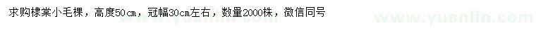 求購高50公分棣棠球
