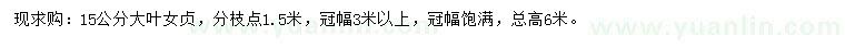 求購15公分大葉女貞