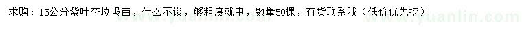 求購15公分紫葉李