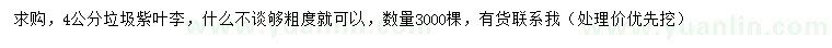 求購4公分紫葉李