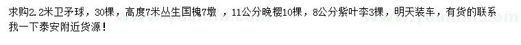 求購衛(wèi)矛球、叢生國槐、紫葉李