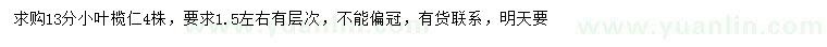 求購(gòu)13公分小葉欖仁