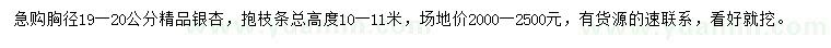 求購胸徑19-20公分銀杏