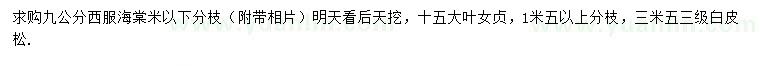 求購西府海棠、大葉女貞、白皮松
