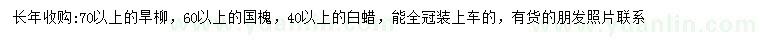 求購旱柳、國槐、白蠟