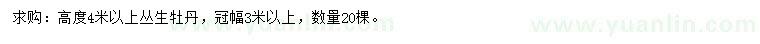 求購高4米以上叢生牡丹