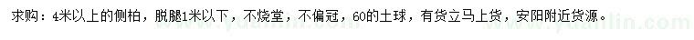 求購(gòu)4米以上側(cè)柏
