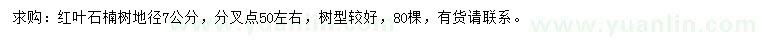 求購(gòu)地徑7公分紅葉石楠